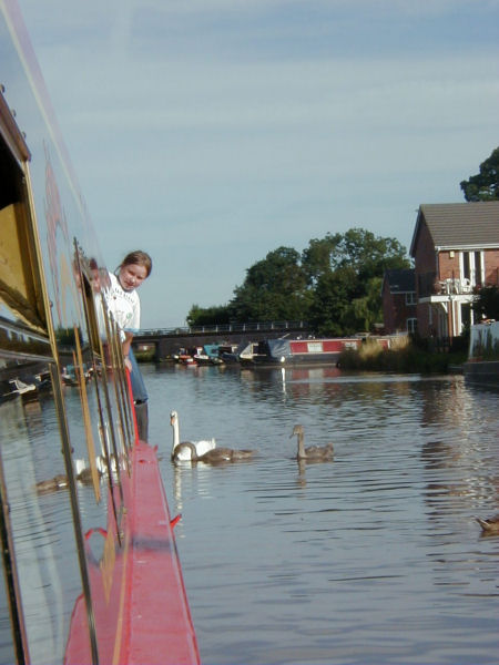 Laura looking out for swans at Market Drayton